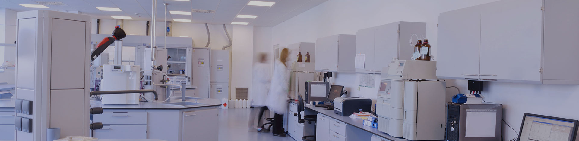 走進(jìn)瑞屹林